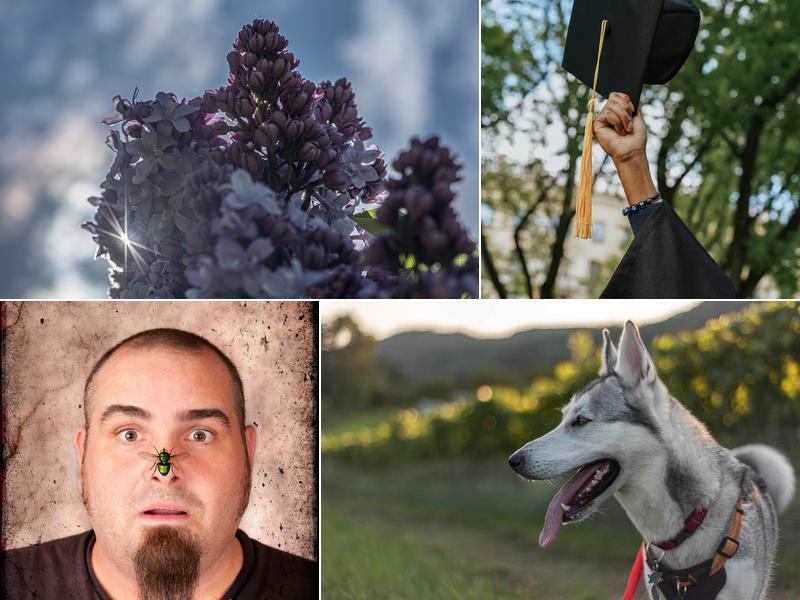 Louis Laliberté Photographie