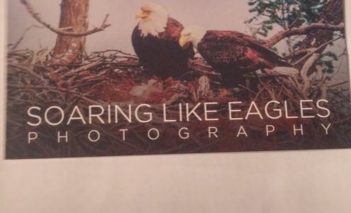 Soaring Like Eagles Photography