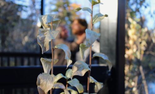 Beauty & Grace Photography