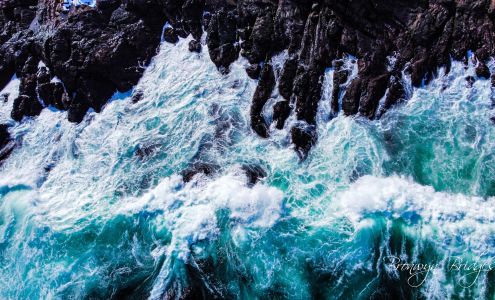 Bronwyn Bridges Photography