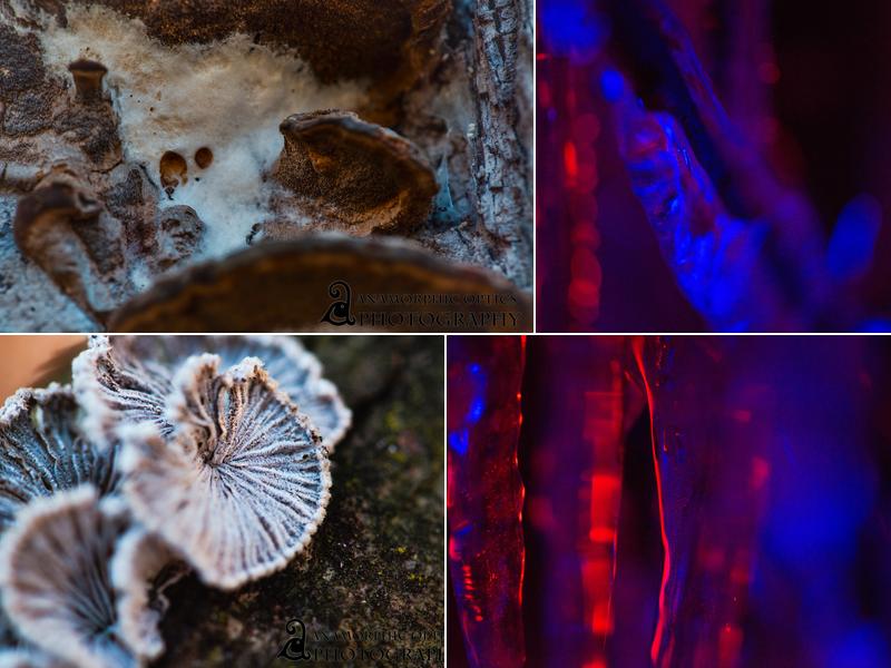 Anamorphic Optics Photography