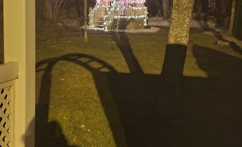 Art Rich Photography