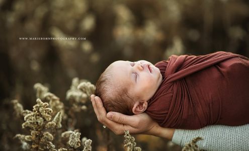 Marie Bohn Photography