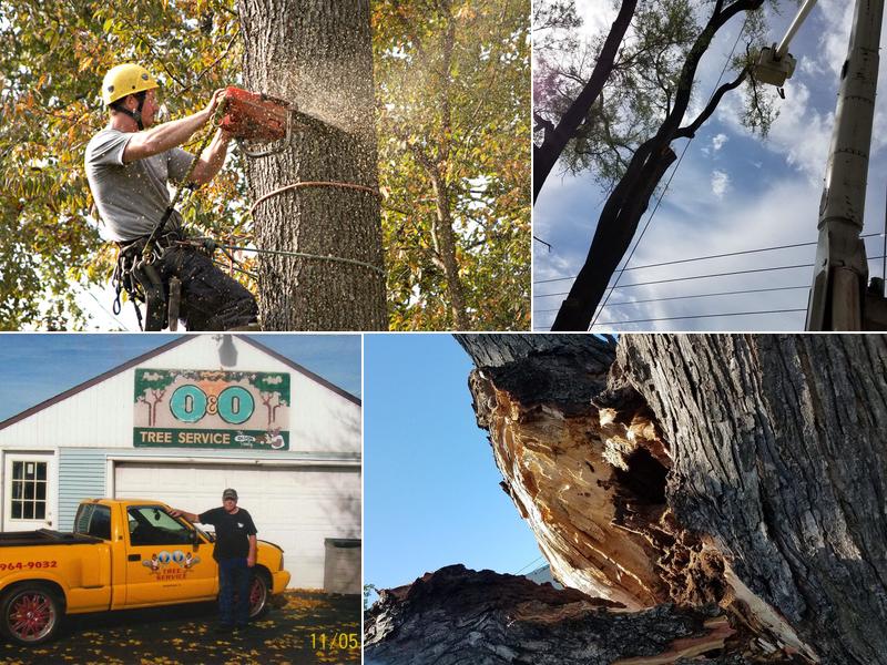 O & O Tree Service