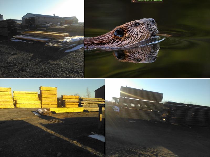 Beaver Run Lumber