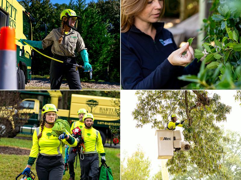 Bartlett Tree Experts