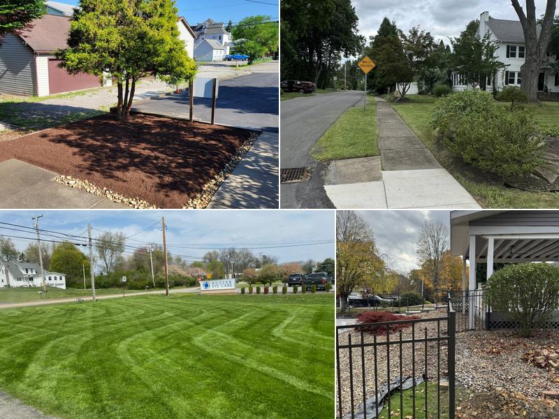 Derek's Grass Cutting Service