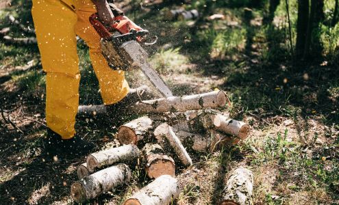 Ash Tree Service LLC