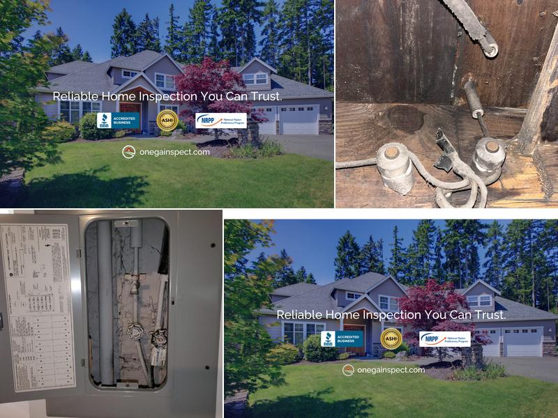 Onega & Sons Inspection Services