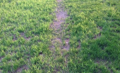 Fairfield Landscaping