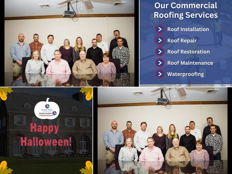 David M. Maines & Associates, Inc.