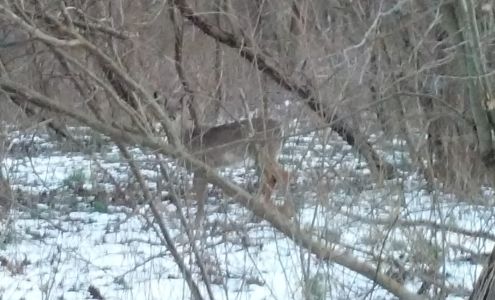 For God So Loved Woodworks