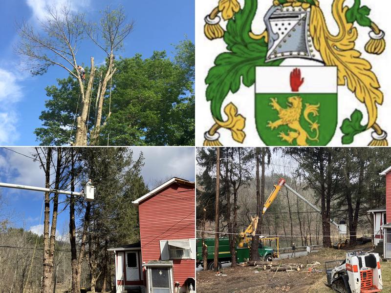 McGinnis Tree Service