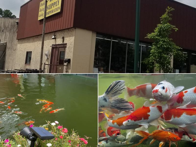 DN Supply Incorporated