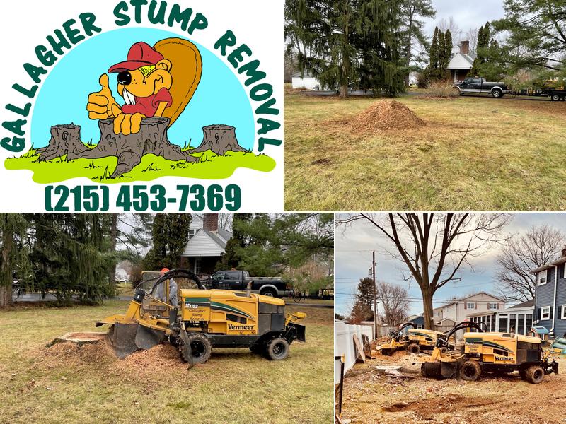 Gallagher Stump Removal