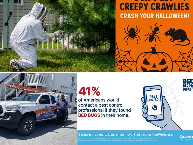 Quest Termite & Pest Management