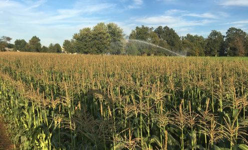 Blum Water Solutions LLC 210 Fretz Rd, Telford Pennsylvania 18969