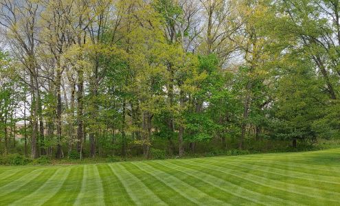 Quality Cut Lawn Care & Services