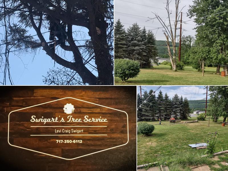 Swigart's Tree Service