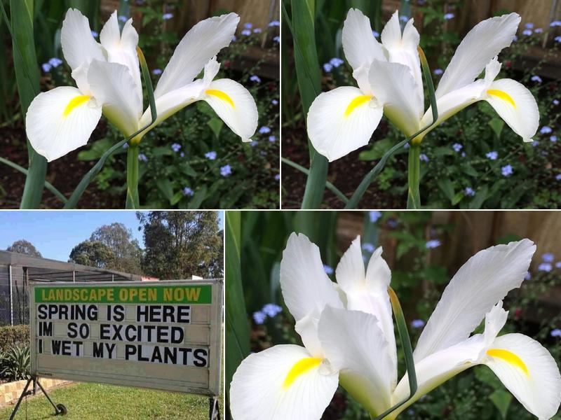Union Hall Lawn & Garden