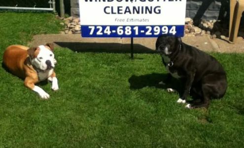 Travis Logans Windows Cleaning