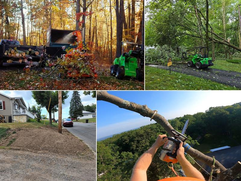 Thompson Tree Service