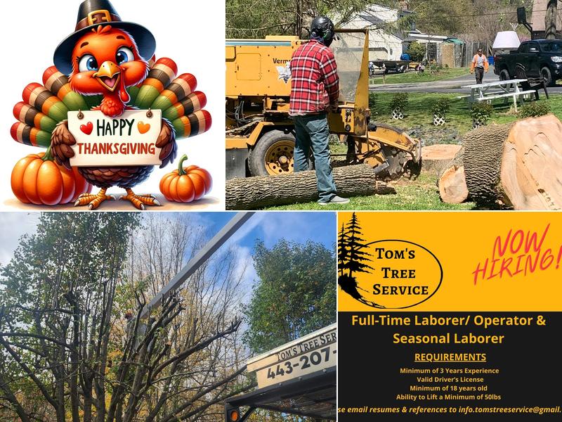 Tom’s Tree Service