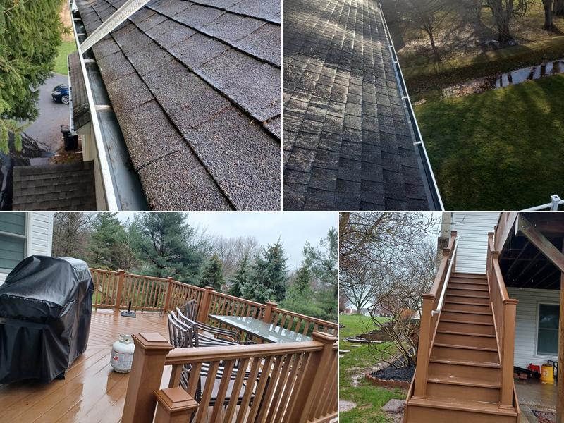 Delta Gutter Cleaning