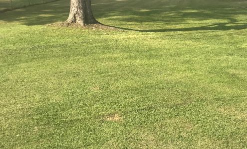 Mitch's Lawn Care S Conecuh St, Greenville Alabama 36037