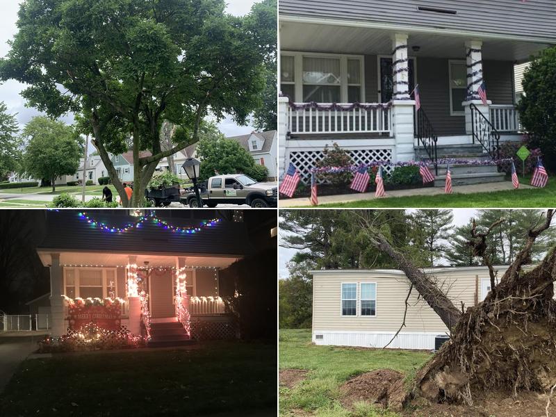 Climbing Brothers Tree Service LLC