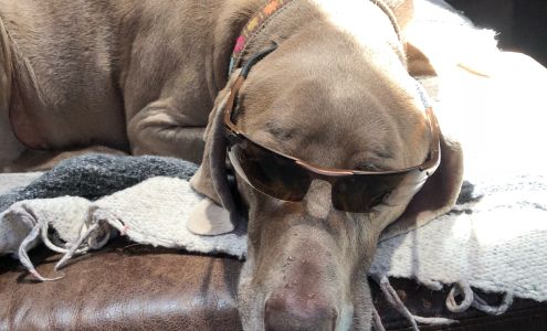 Livingston Enterprises, LLC Newmanstown