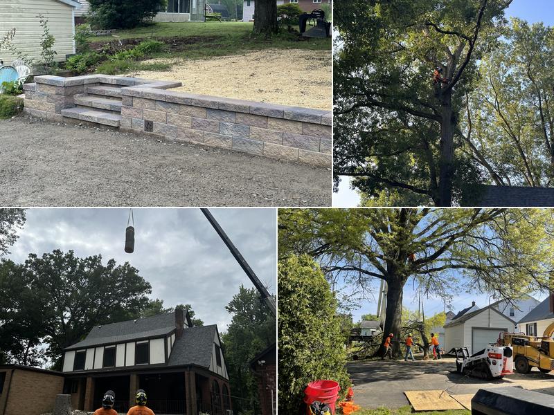 Banks' Tree Services, LLC