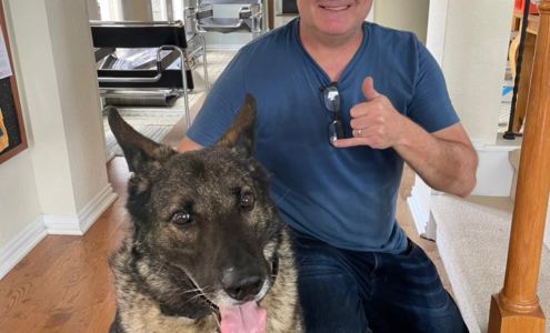 Ken's Handyman Services