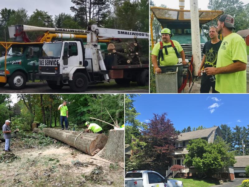 Smallwood Tree Experts