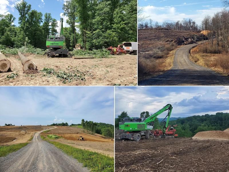 Richardson Tree and Landscape Co