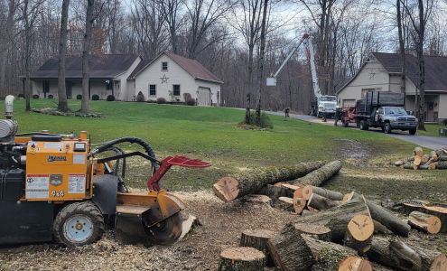 Dave & Son Tree and Land Management, LLC 173 Renee Dr, Pulaski Pennsylvania 16143