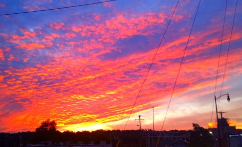 Willow Village Apartments