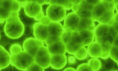 Disaster Blaster of Scranton & Wilkes-Barre