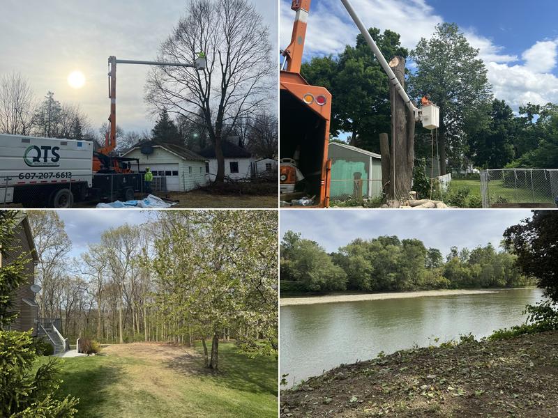 (QTS) Quality Tree Service LLC