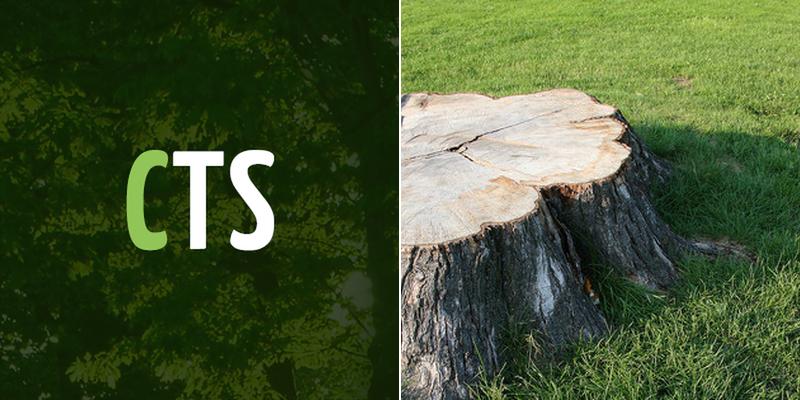 Campbell's Tree Service