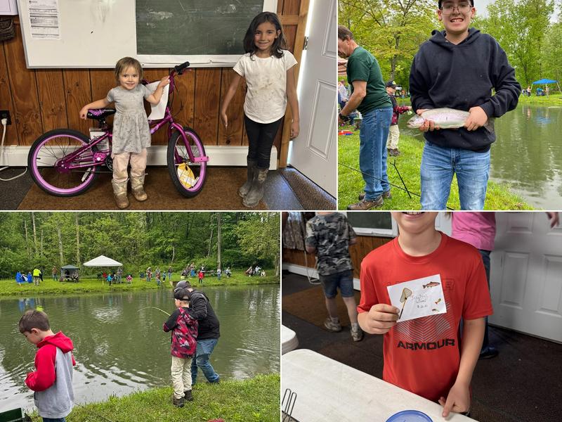 Locust Valley Design