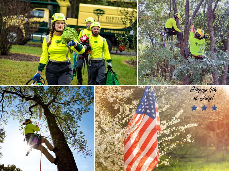 Bartlett Tree Experts