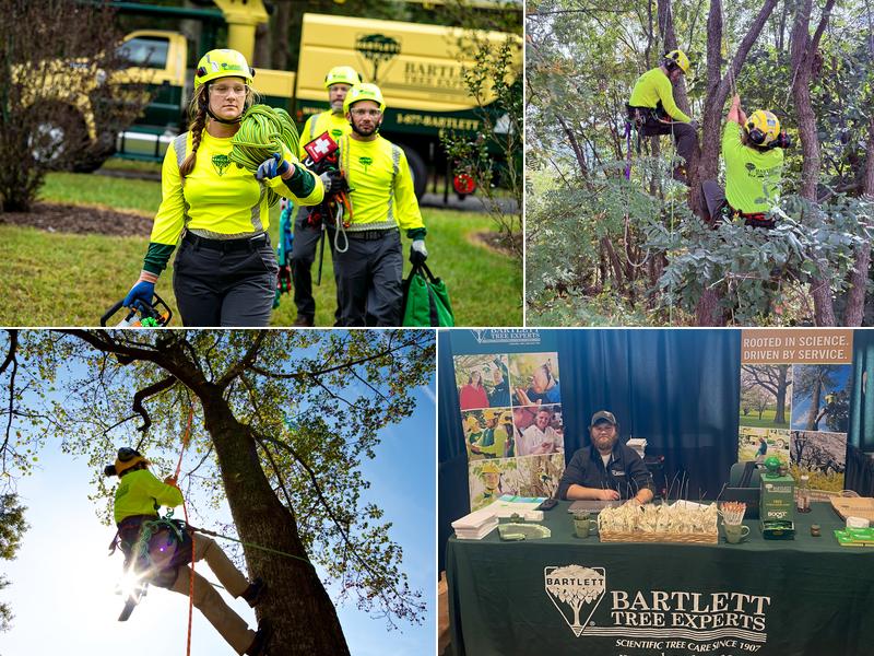 Bartlett Tree Experts