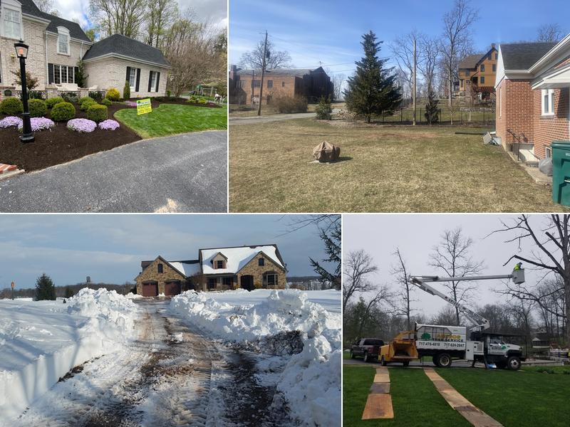 Amigos Lawn Care & Tree Service