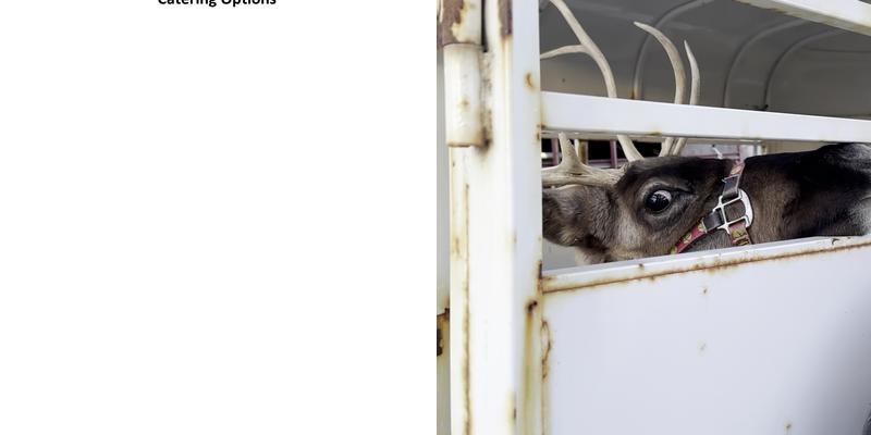 Hot dogs A la carte Menu