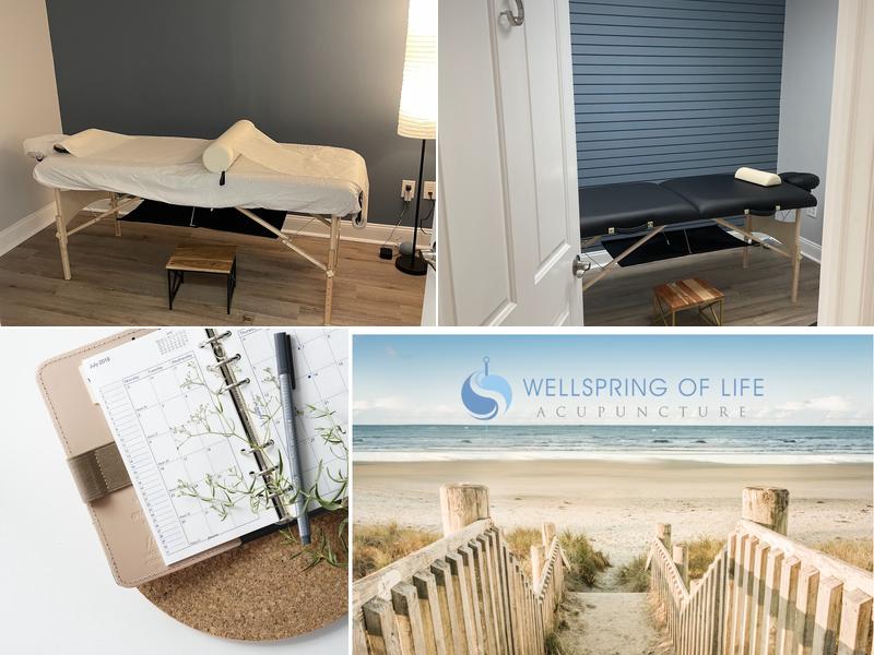 Wellspring of Life Acupuncture