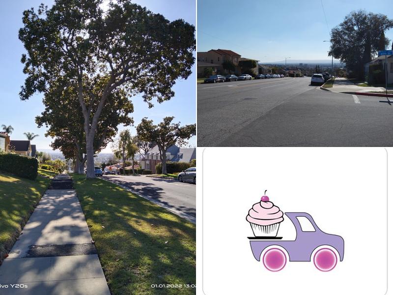 Cupcakes Will Travel