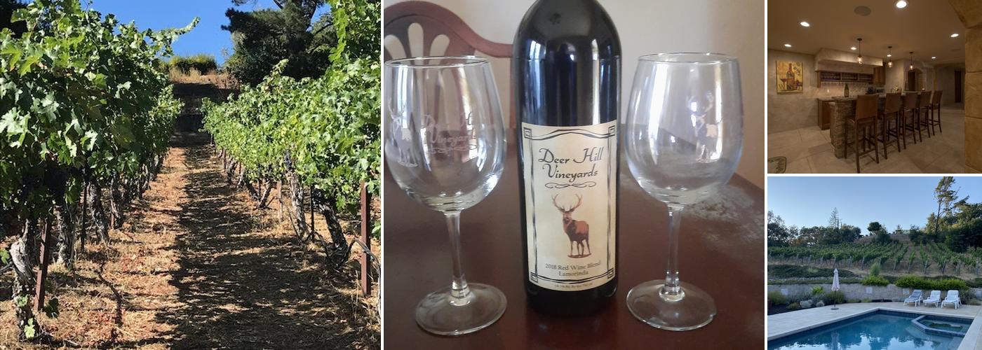 Deer Hill Vineyards