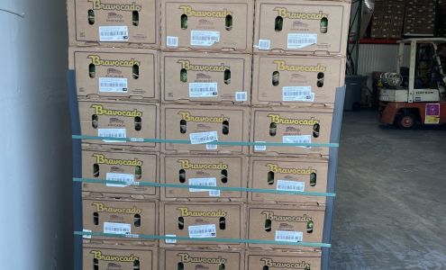 Fresh & Best Produce