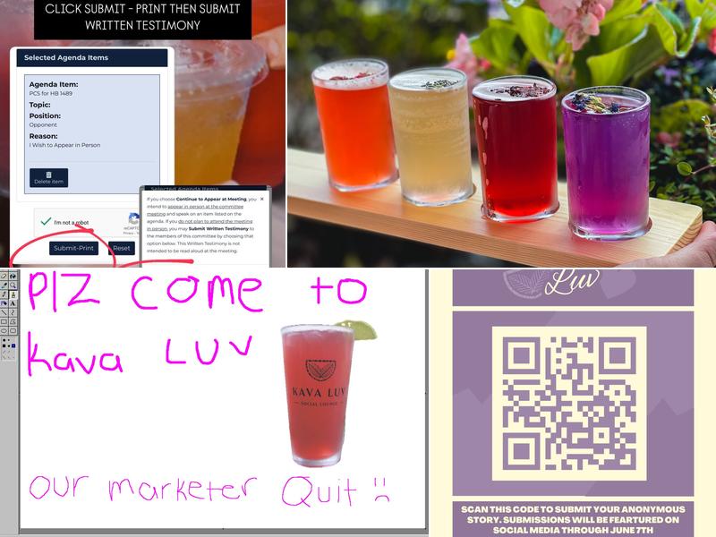 Kava Luv Social Lounge 7550 Mission Hills Dr #310, Naples